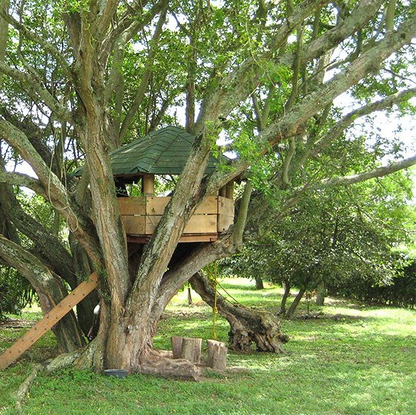 Домик на дереве для детей