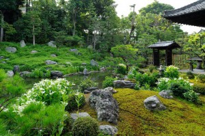 сад мхов в японии